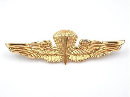 Original 1970s USMC Navy Paratrooper Jump Wings Hollow-Back