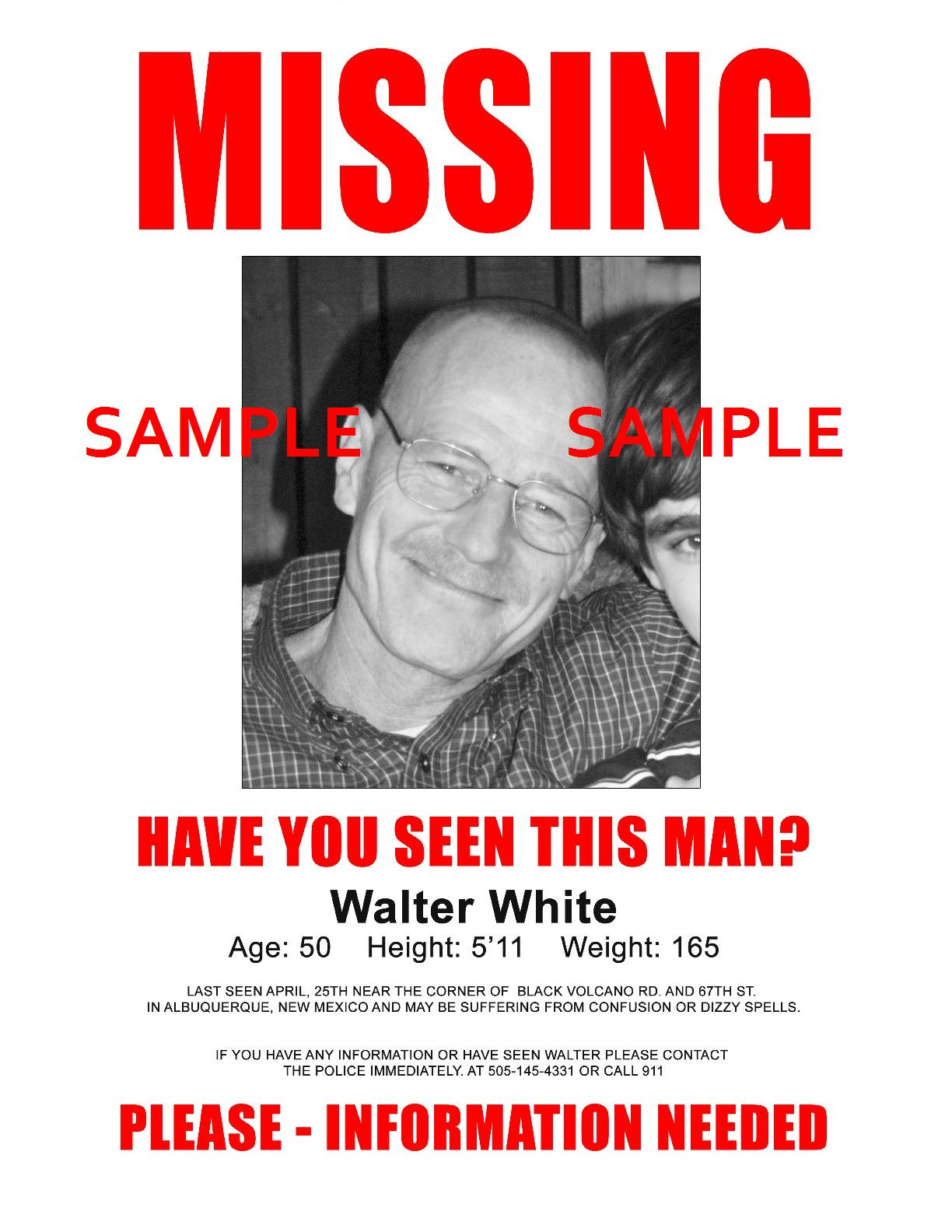 2008 Breaking Bad Walter White Missing Flyer 8.5 x 11 Poster Bryan Cranston