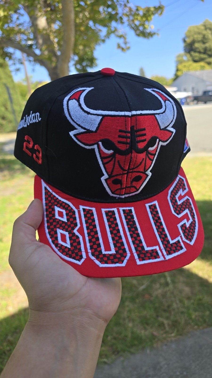 Vintage Chicago Bulls Korean Bootleg Snapback Hat 90s Style Black Red Green UV