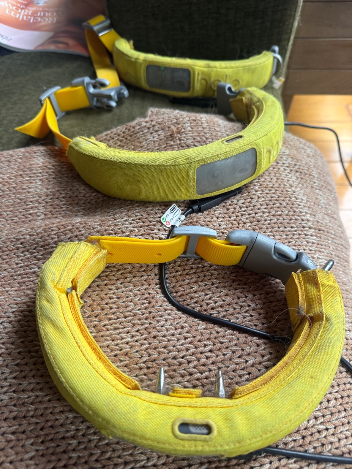 Halo 3 GPS Dog Collar Fence System—size large