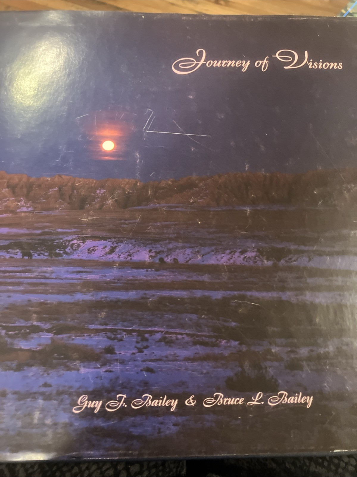 Journey of Visions by Guy F. Bailey and Bruce L. Bailey (1996, Hardcover)