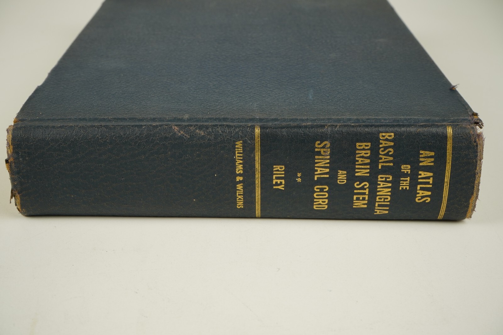 An Atlas of the Basal Ganglia, Brain Stem and Spinal Cord 1943 An Atlas of the Basal Ganglia, Brain Stem and Spinal Cord 1943