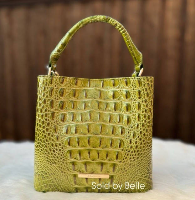 NWT Brahmin Mini Amelia Olive Melbourne Ombre Crossbody Handle Bag Purse $285 NWT Brahmin Mini Amelia Olive Melbourne Ombre Crossbody Handle Bag Purse $285
