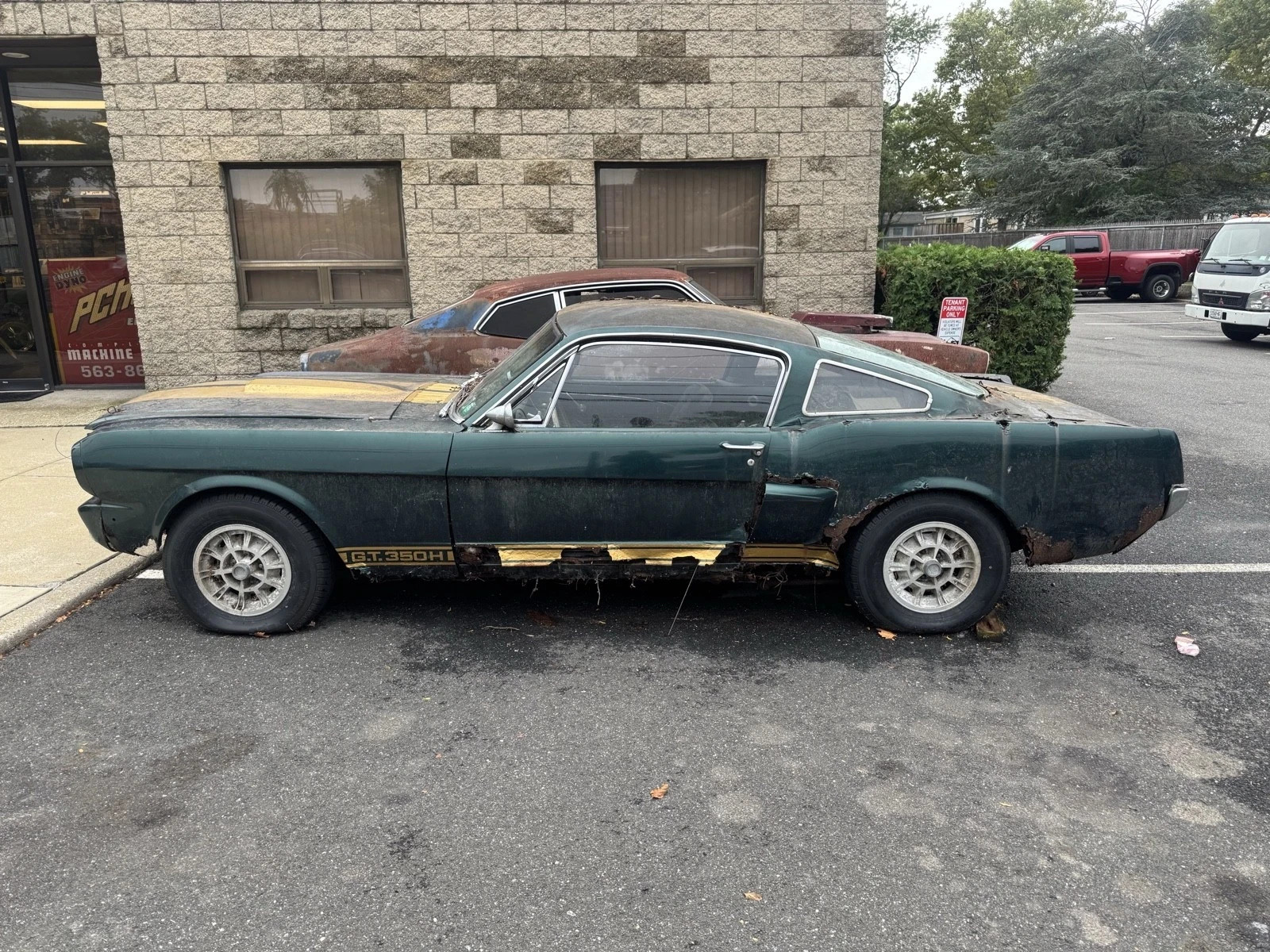 1966 Ford Mustang 1966 Ford Mustang