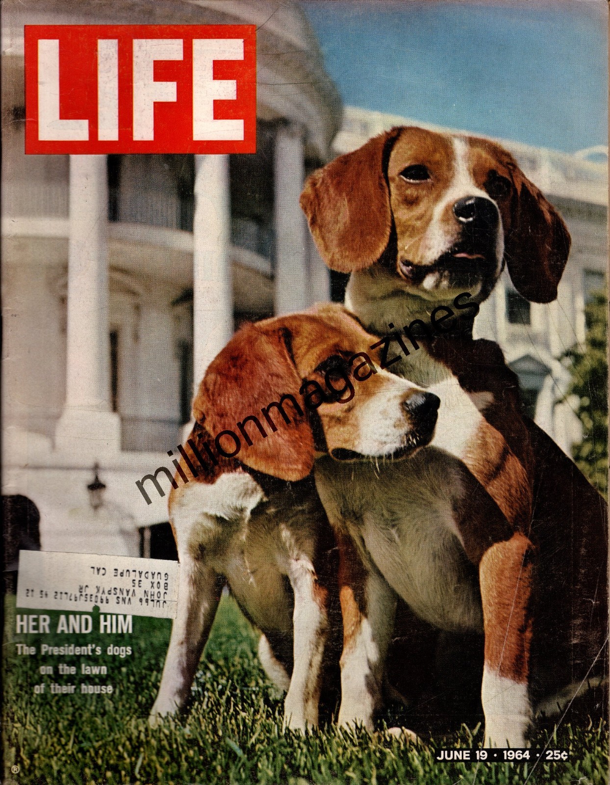 1964 Life June 19 - LBJ's Beagles; Cassius Clay; Jill Kinmont; Shirley MacLaine
