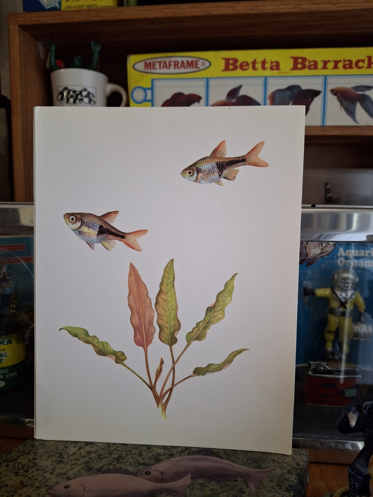 Vintage Old Aquarium Fishbowl Pet Store Tropical Fish 8