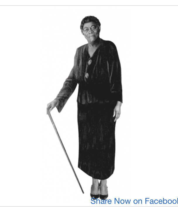MARY MCLEOD BETHUNE CIVIL RIGHTS ACTIVIST LIFE SIZED CARDBOARD CUTOUT