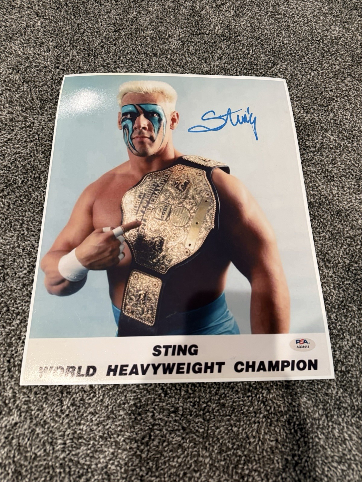 STING Wrestling WWE WWF WCW Champion SIGNED Autographed 11X14 Photo PSA COA