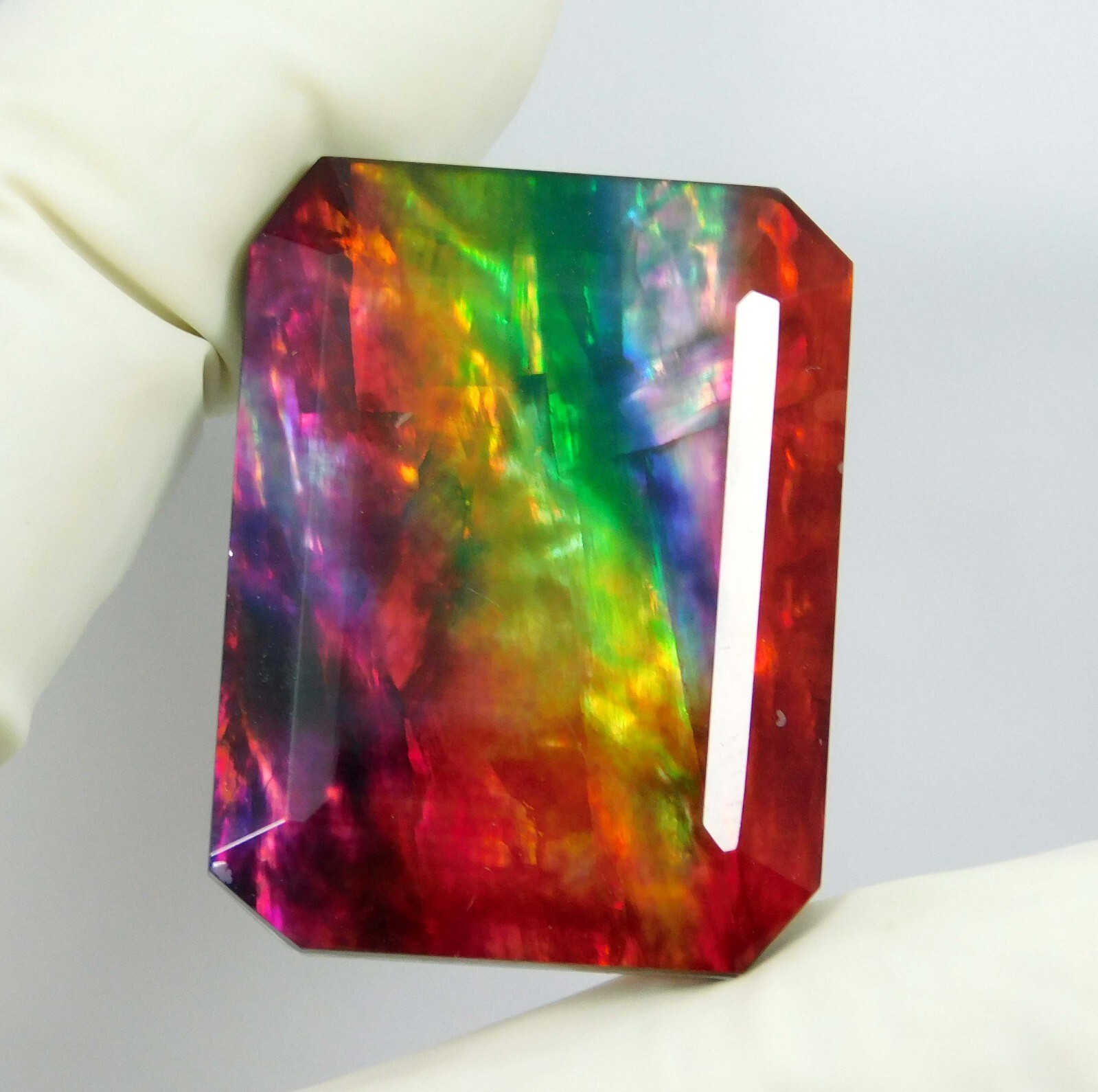 50.70 Ct Certified Natural Ammolite Opal-Like Organic Doublet Loose Gemstone 