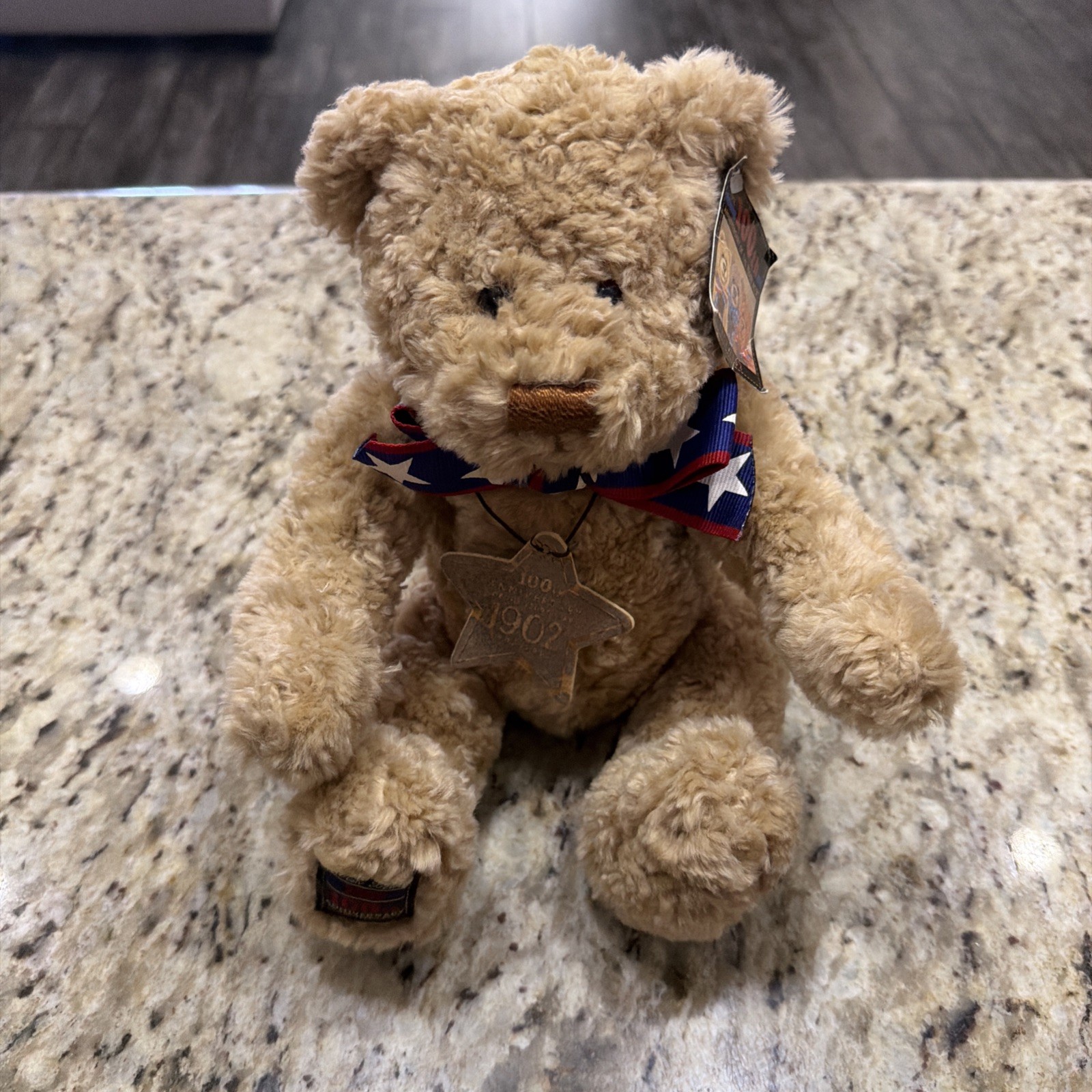 GUND Wish Bear 2002 100th Anniversary Teddy Bear 1902-2002 May Dept Stores Tag GUND Wish Bear 2002 100th Anniversary Teddy Bear 1902-2002 May Dept Stores Tag