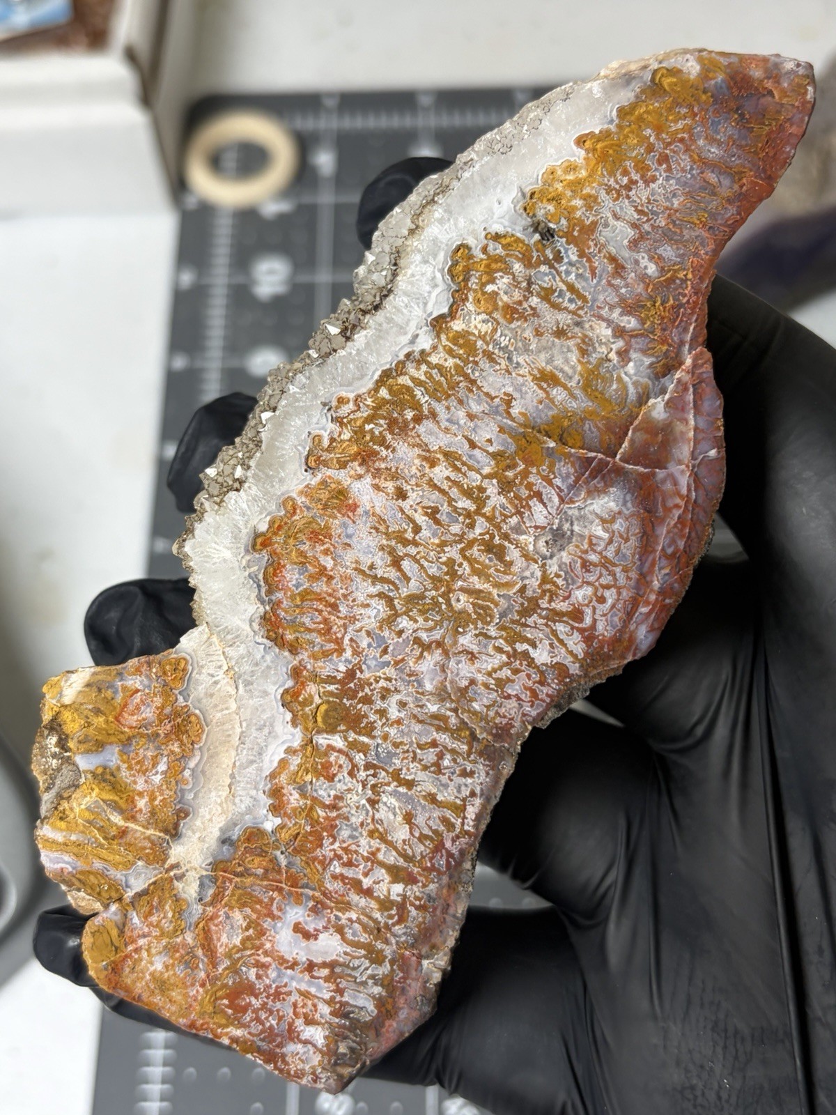 Rare Wingate Plume Agate Polished Specimen Quartz Death Valley Old Stock Rare Wingate Plume Agate Polished Specimen Quartz Death Valley Old Stock