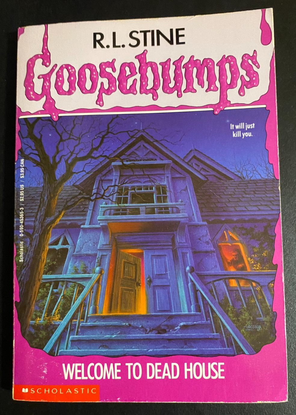 Goosebumps Unnumbered 1st Edition 1st Printing R L Stine Rare 10-1 numbering