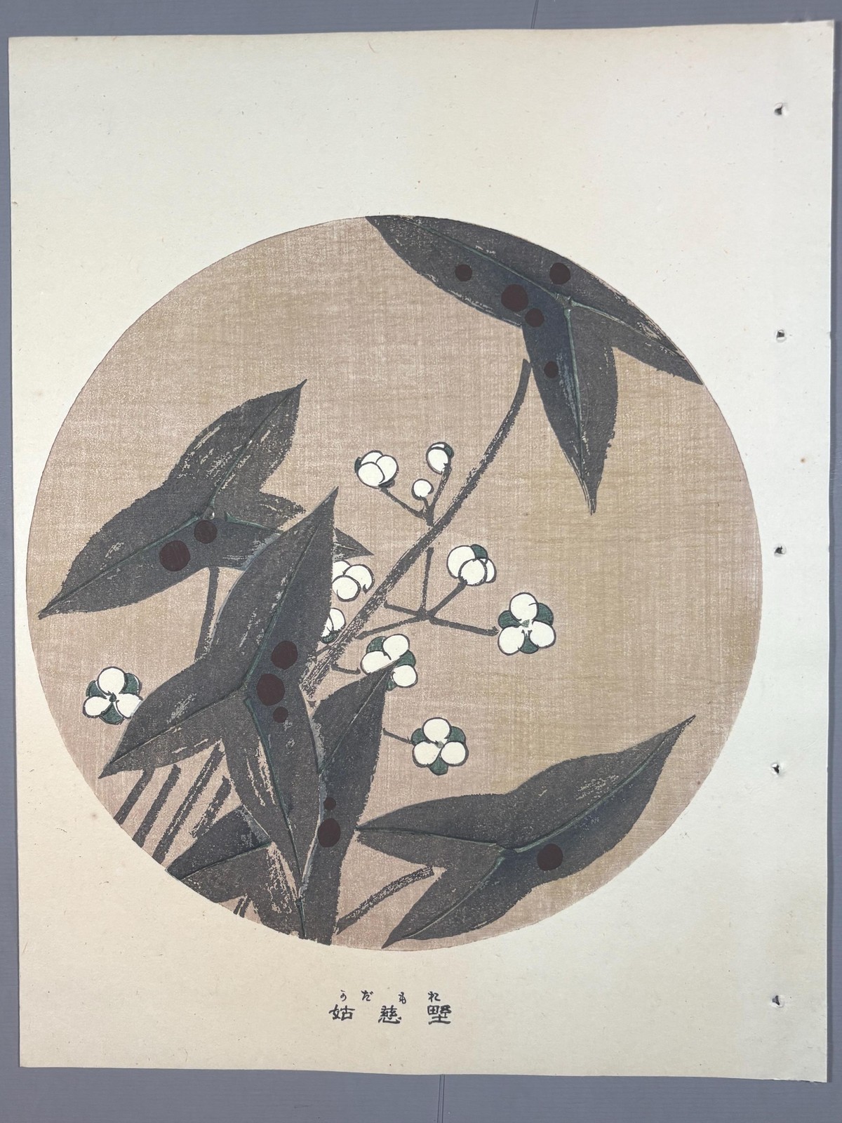 1908, Japanese antique woodblock print, Ito Jakuchu, \