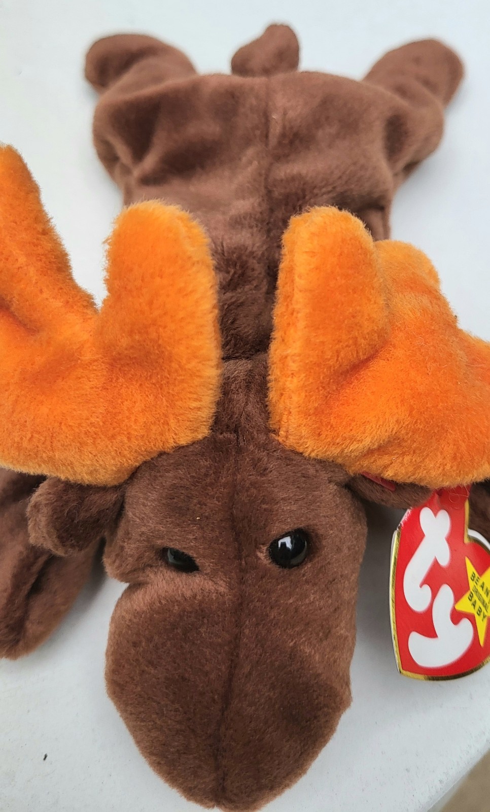 NWT VERY RARE TY BEANIE BABY \ NWT VERY RARE TY BEANIE BABY \