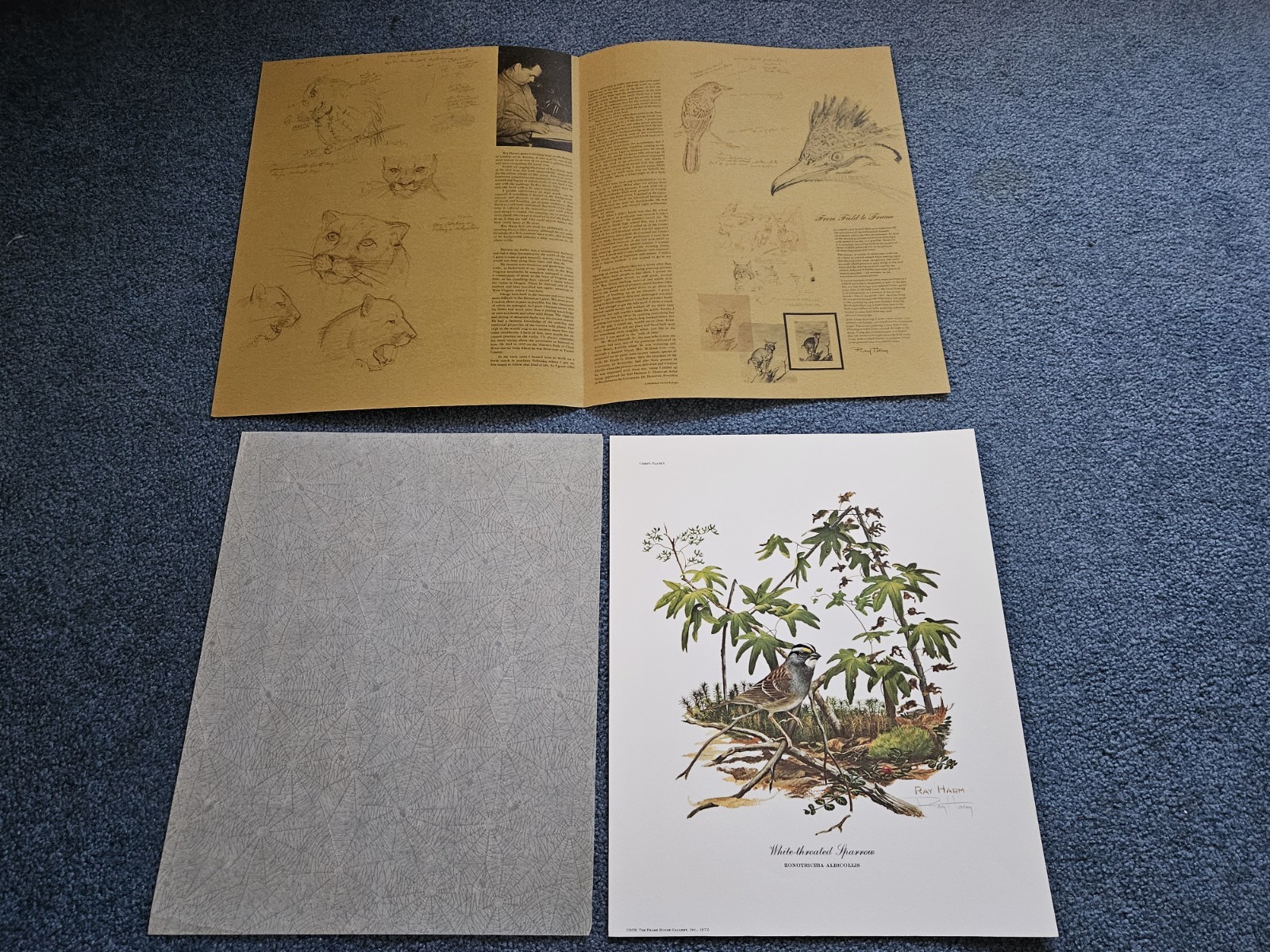 Original 1973 Ray Harm 'Artist Signed' Ltd. Edition Litho White Throated Sparrow Original 1973 Ray Harm 'Artist Signed' Ltd. Edition Litho White Throated Sparrow