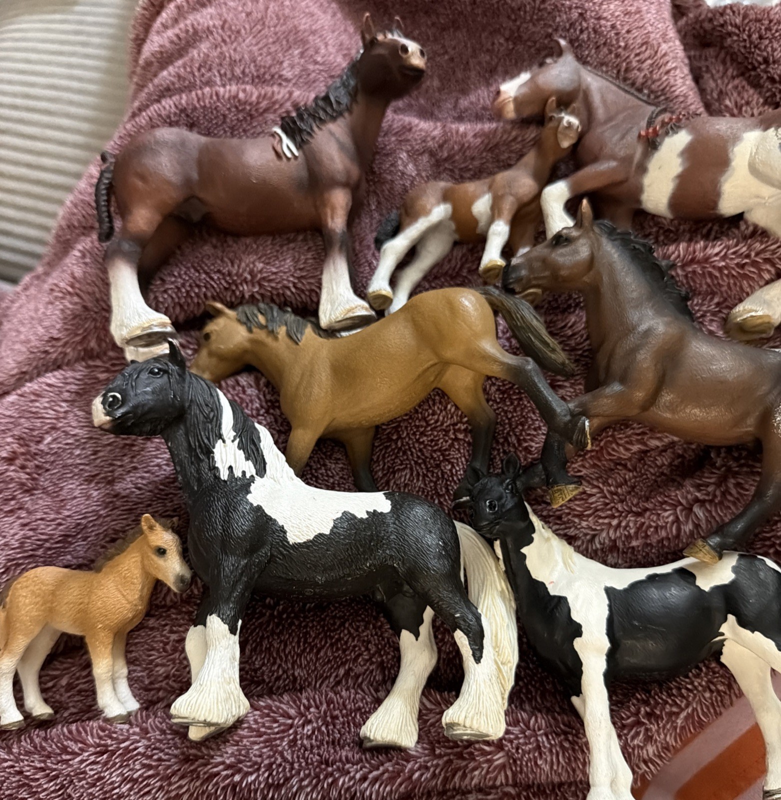 Schleich CLYDESDALE Horse Family Figures 13808 13809 13810 ++ Lot Of 8 Horses Schleich CLYDESDALE Horse Family Figures 13808 13809 13810 ++ Lot Of 8 Horses