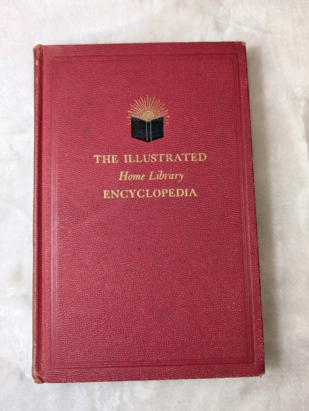 Vintage The Illustrated Home Library Encyclopedia Vol. 16 P to Pue Guild Edition