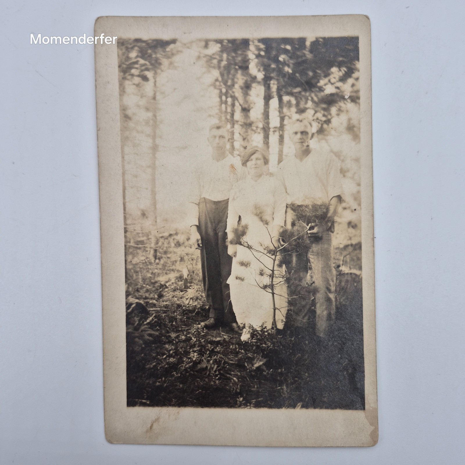Antique RPPC Real Photo Postcard Woman Two Men in Pine Woods Pipe NOKO 1910s