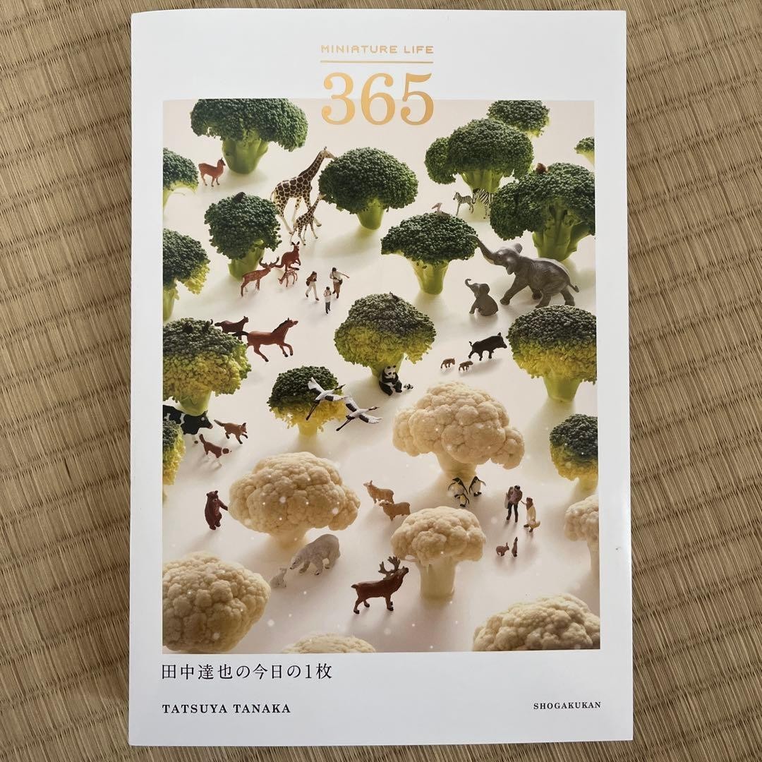 MINIATURE LIFE 365 Miniature Art Photo Book Daily Inspiring