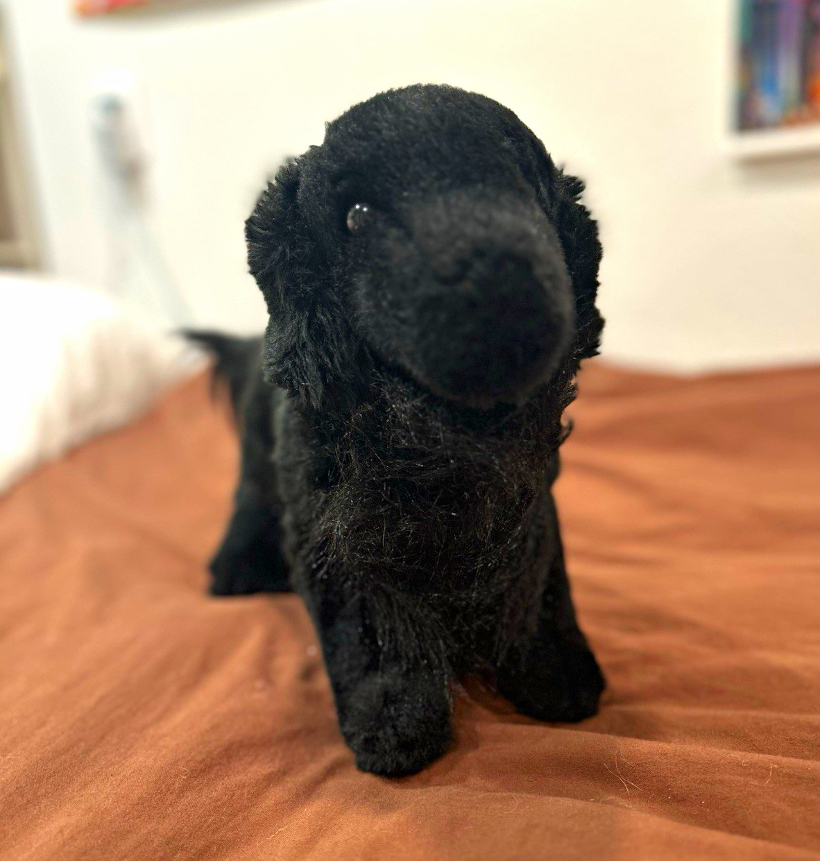 douglas rare,HTF,retired Jett flat coated retriever (send offers) douglas rare,HTF,retired Jett flat coated retriever (send offers)