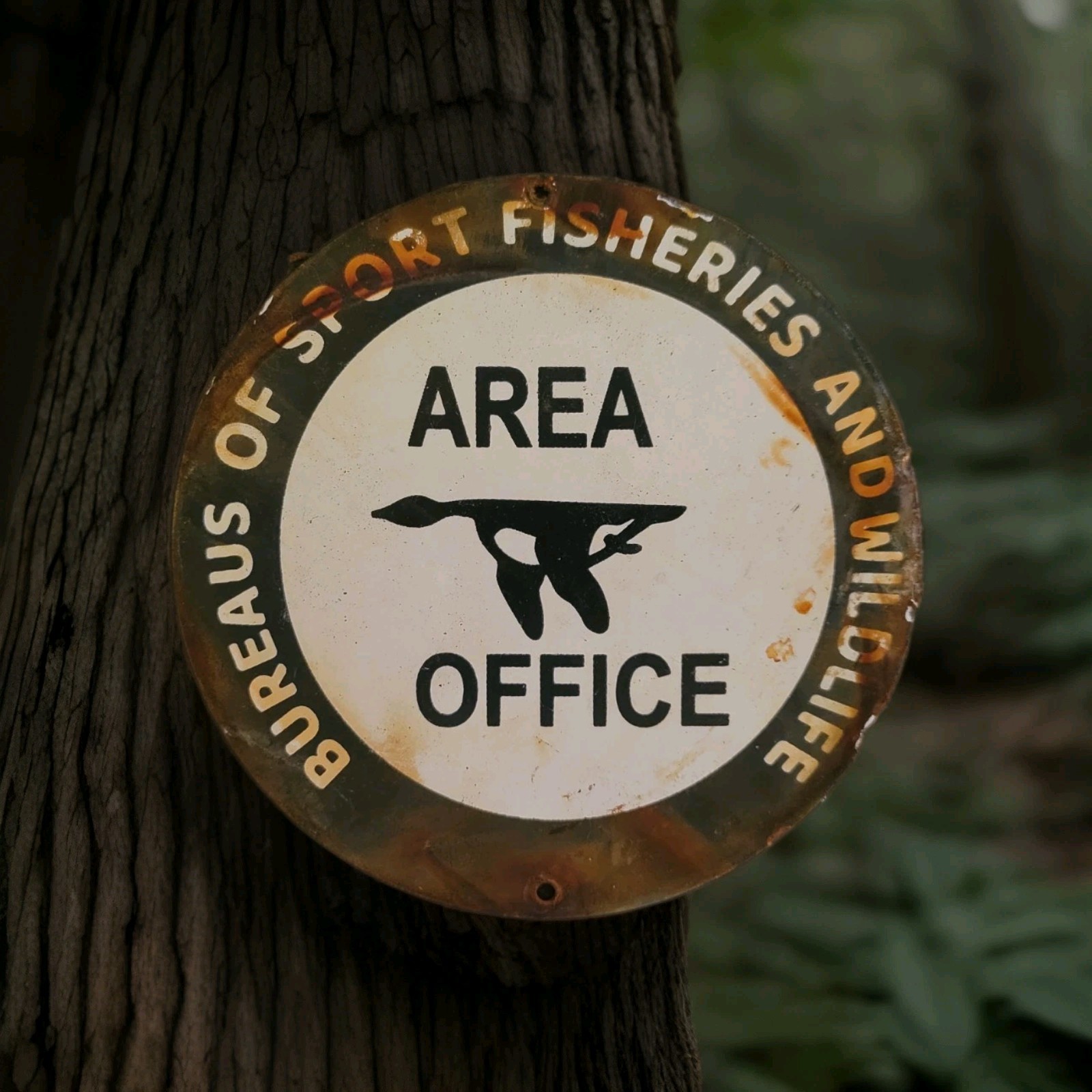Vintage Area Office Porcelain Sign Bureaus Of Sport Fisheries An Wildlife Refuge Vintage Area Office Porcelain Sign Bureaus Of Sport Fisheries An Wildlife Refuge