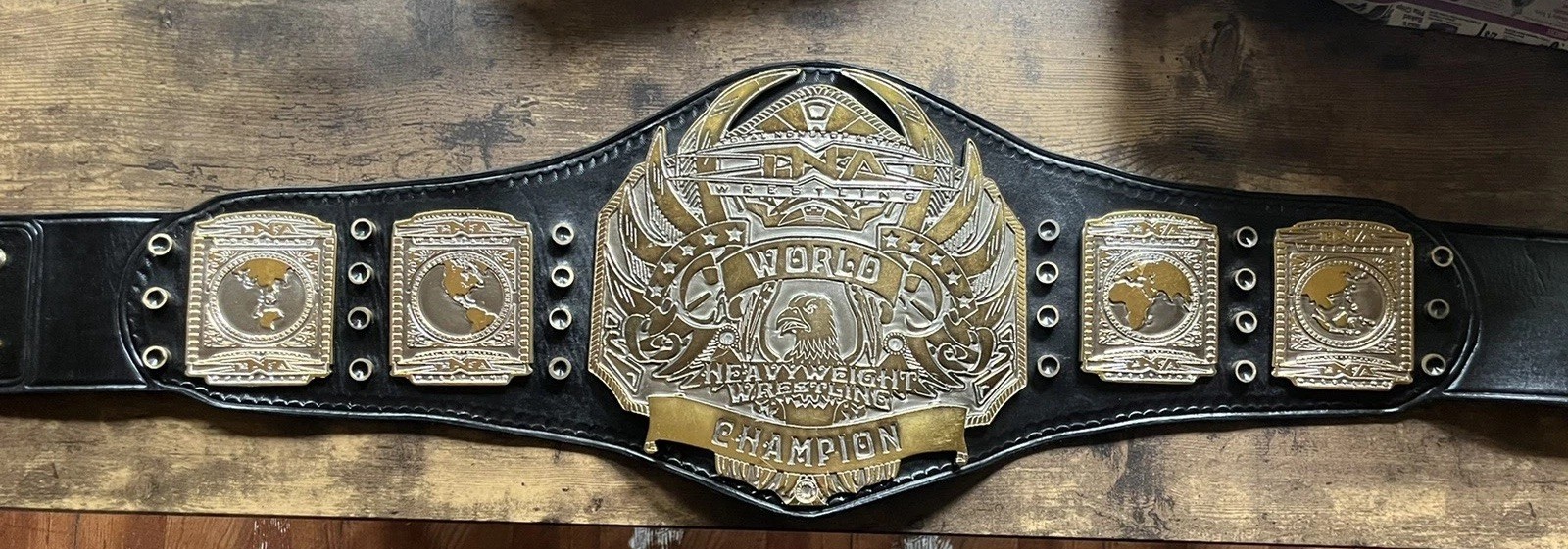 TNA World Heavyweight Championship classic. 