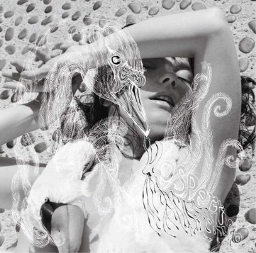 Björk Vespertine (Vinyl) 12 Björk Vespertine (Vinyl) 12