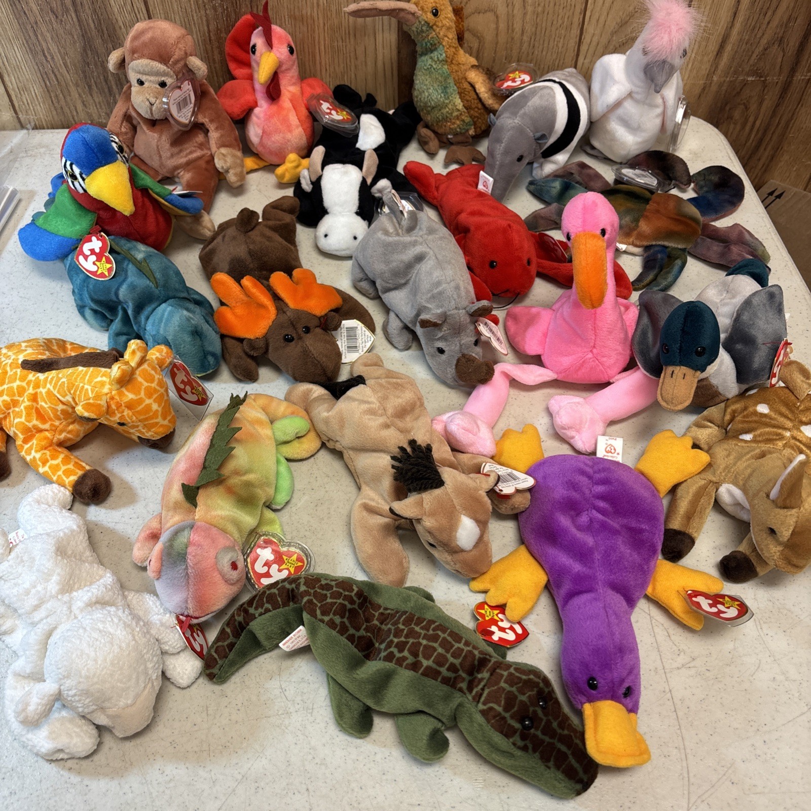 Vintage Ty Beanie Babies Lot of 21 Animals PVC & P.E. Pellets Iggy Twigs Ally