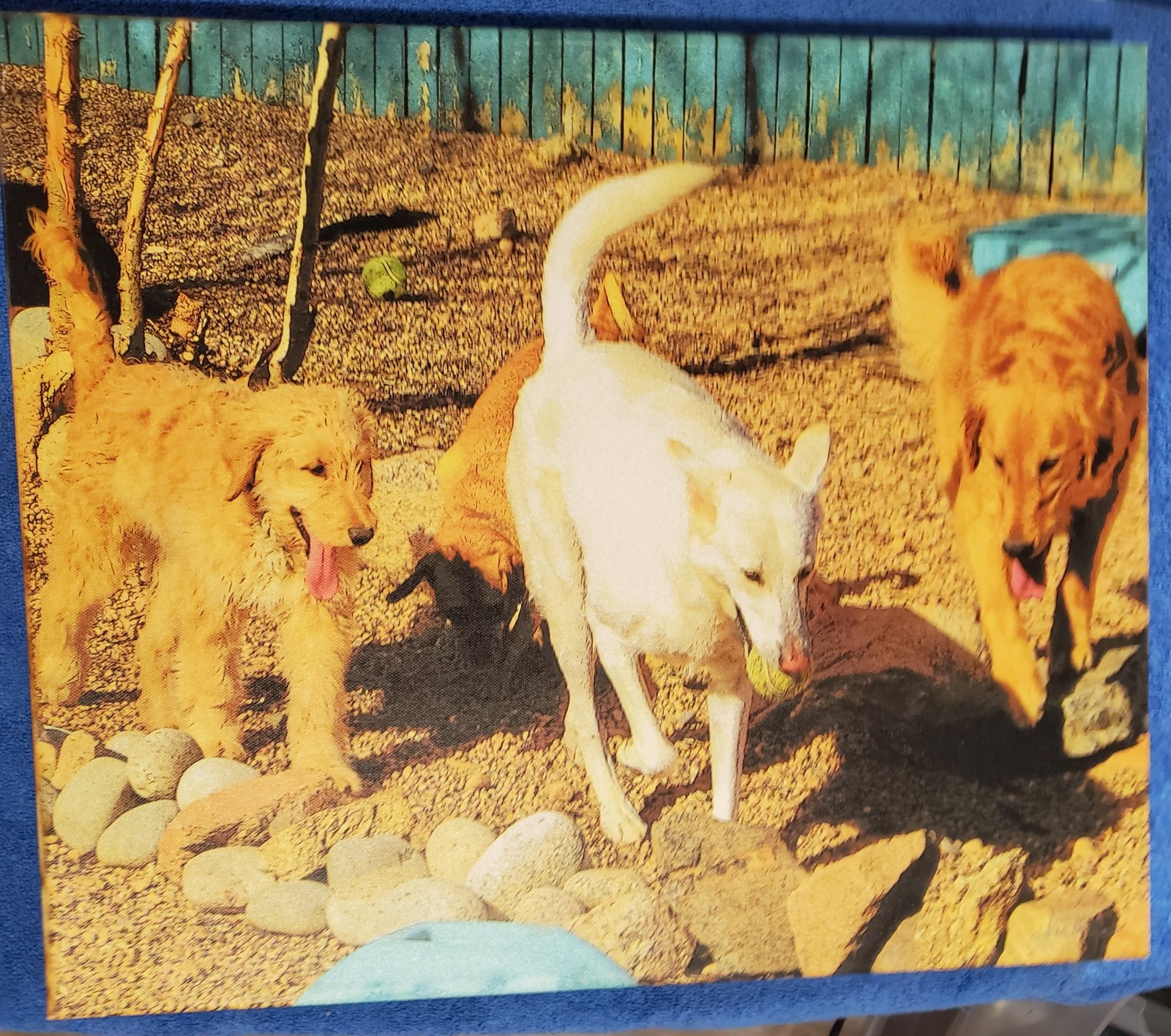 Original Ina Mulford Custom Golden Retrievers Dog Painting 2008 Colorado Artist