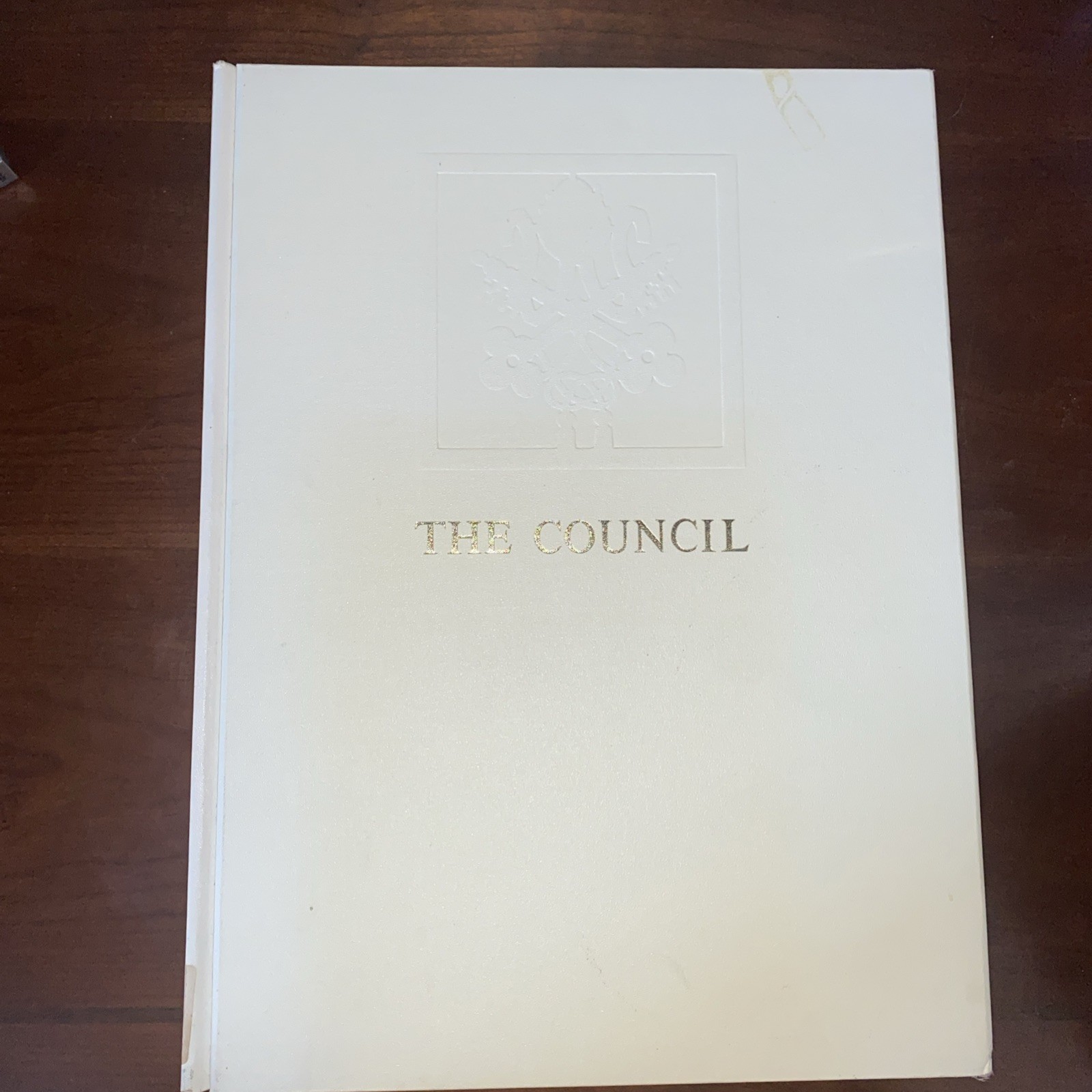 VINTAGE 1966 - The Council by Lothar Wolleh - Catholic Popes - Hardcover VINTAGE 1966 - The Council by Lothar Wolleh - Catholic Popes - Hardcover