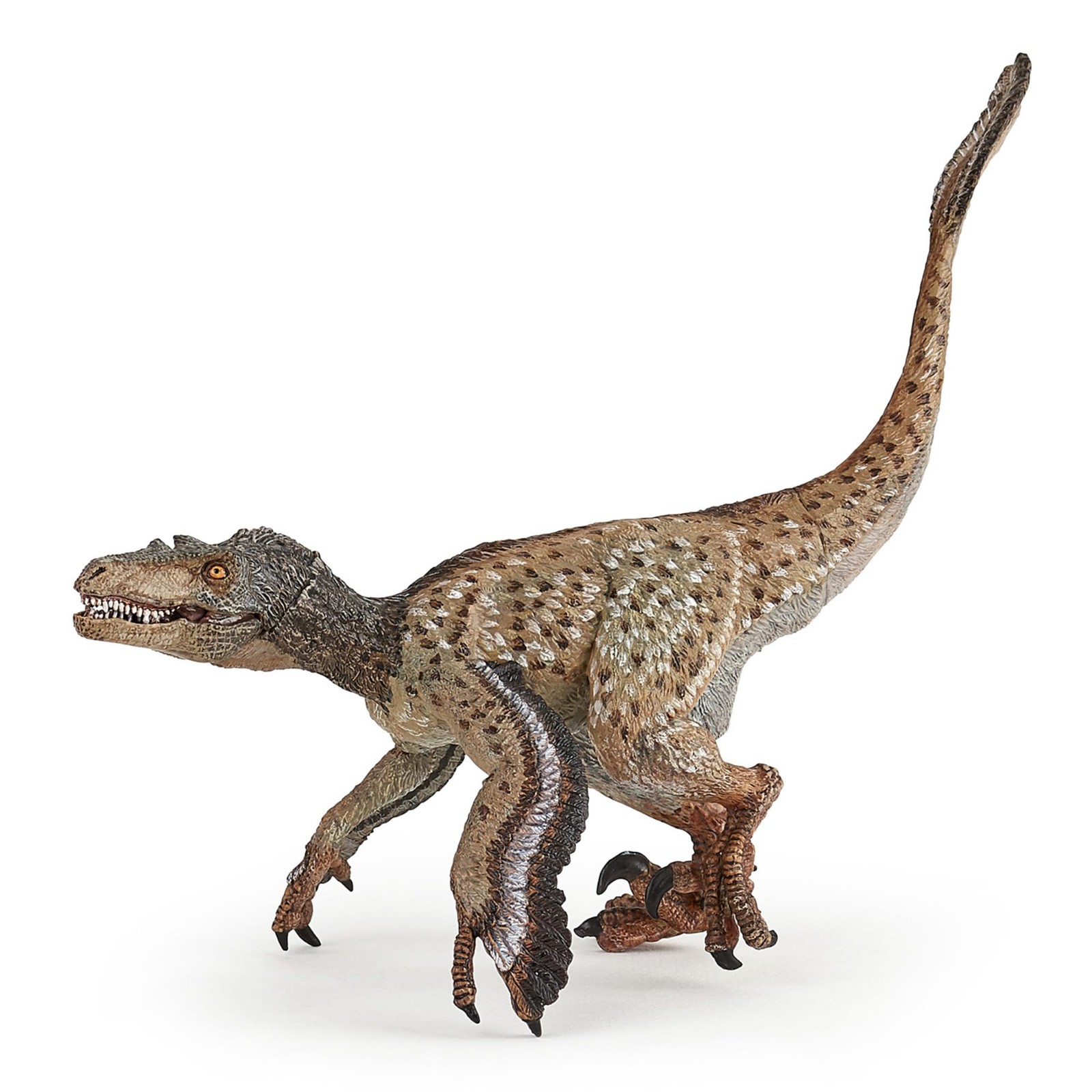 PAPO - Feathered Velociraptor - Realistic Figurine - 4.33 inches, Multicolor