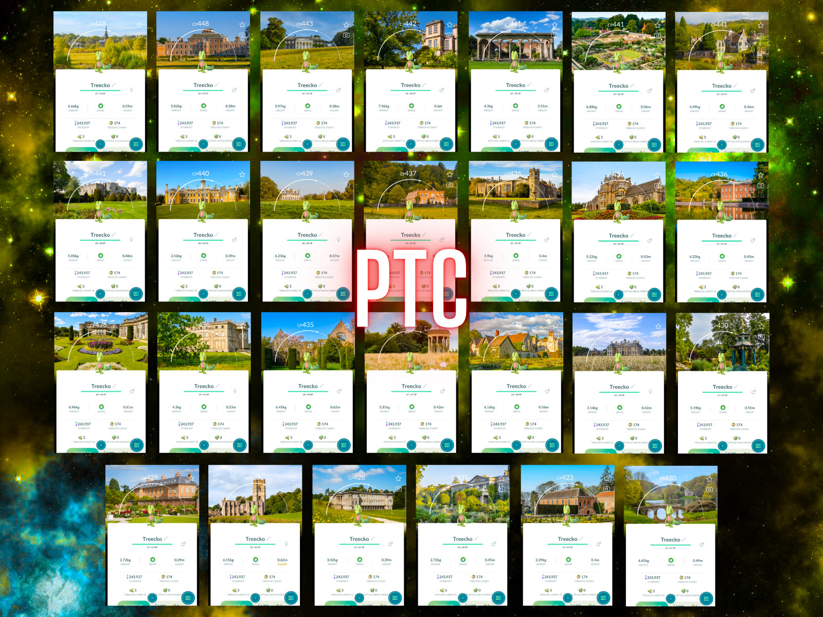 Pokémon | x27 Treecko Special BG National Trust | mini PTC | Go ✨ Pokémon | x27 Treecko Special BG National Trust | mini PTC | Go ✨