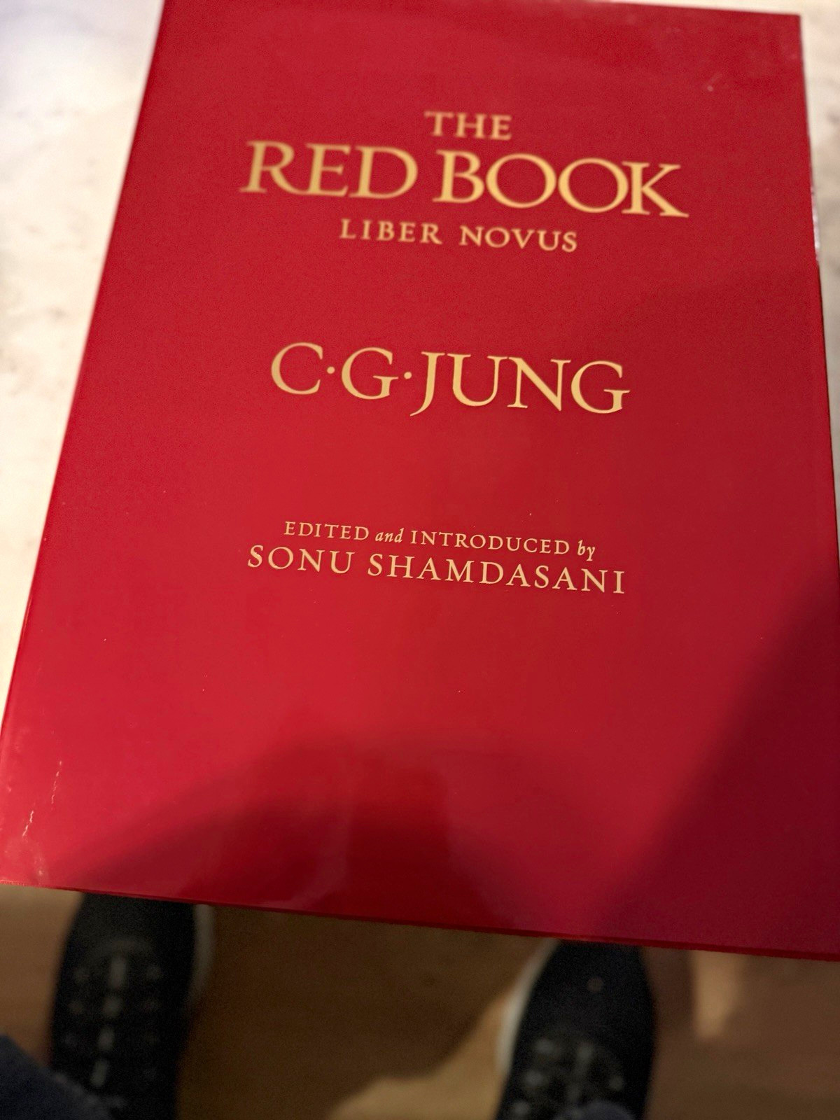 Carl G. Jung The Red Book: Liber Novus HC 2009 1st Ed Illustrated Philemon