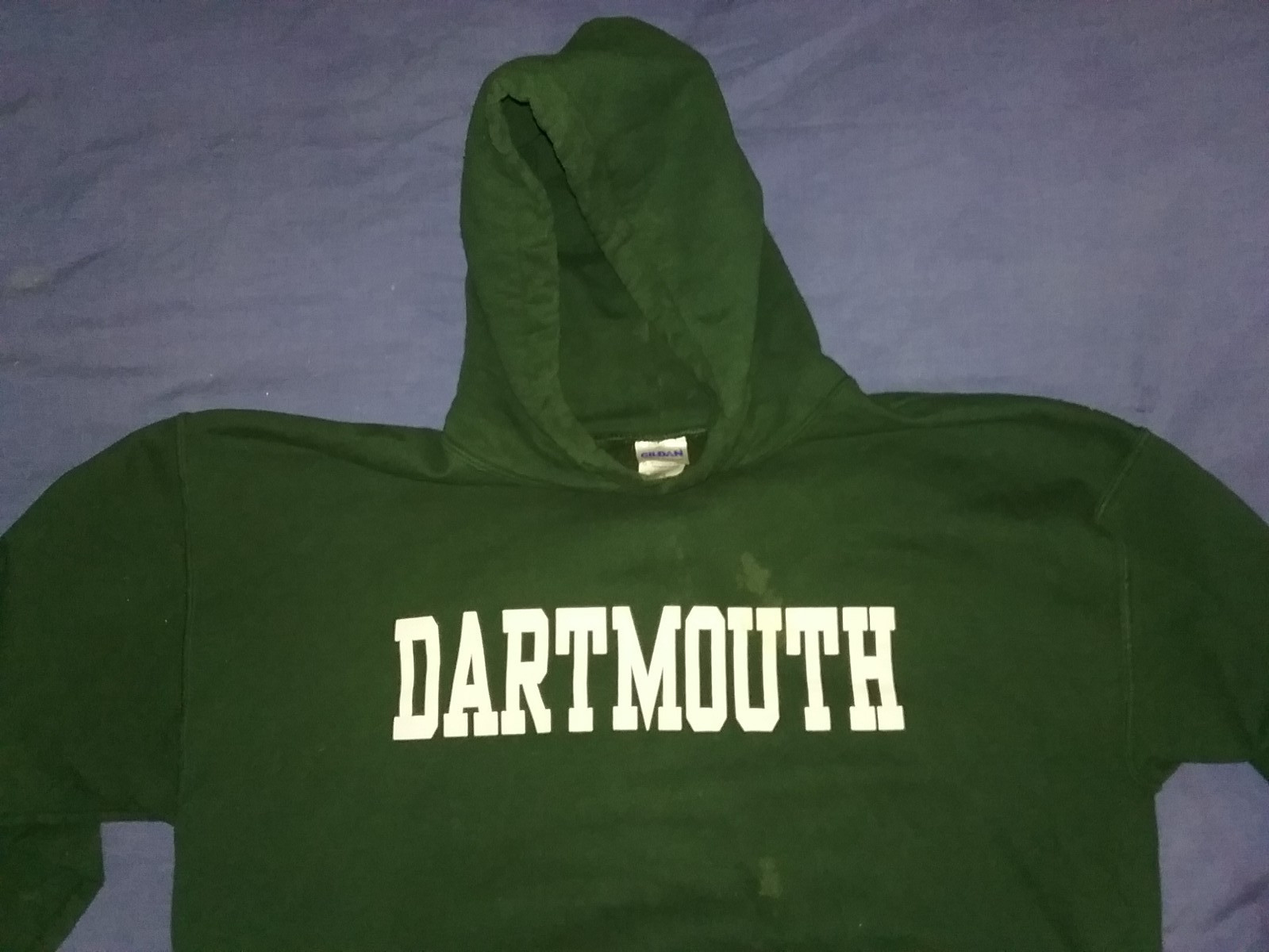 Classic Dartmouth College L Cotton Blend Hoody Sweatshirt by Gildan VGC
