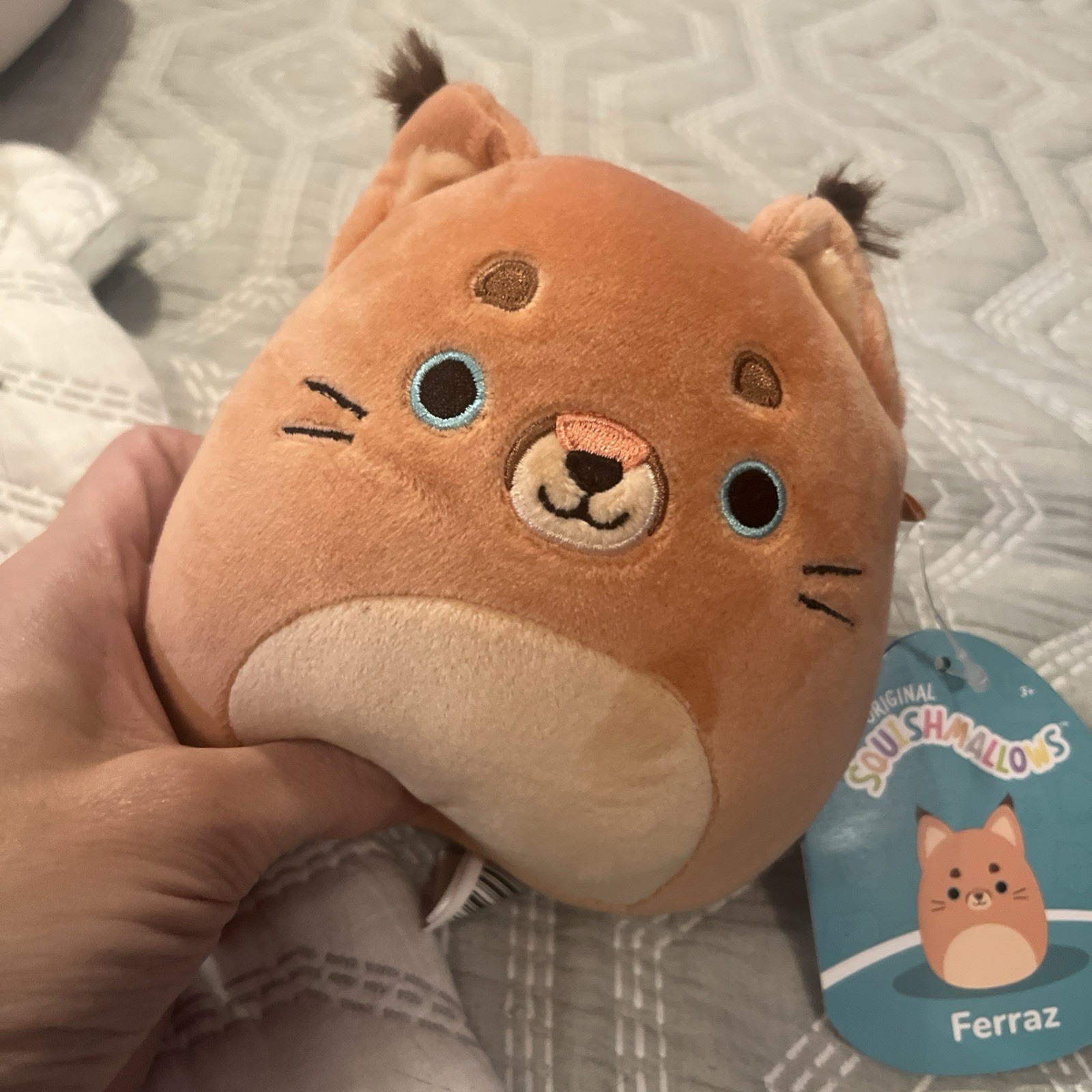 Squishmallows Ferraz 5\