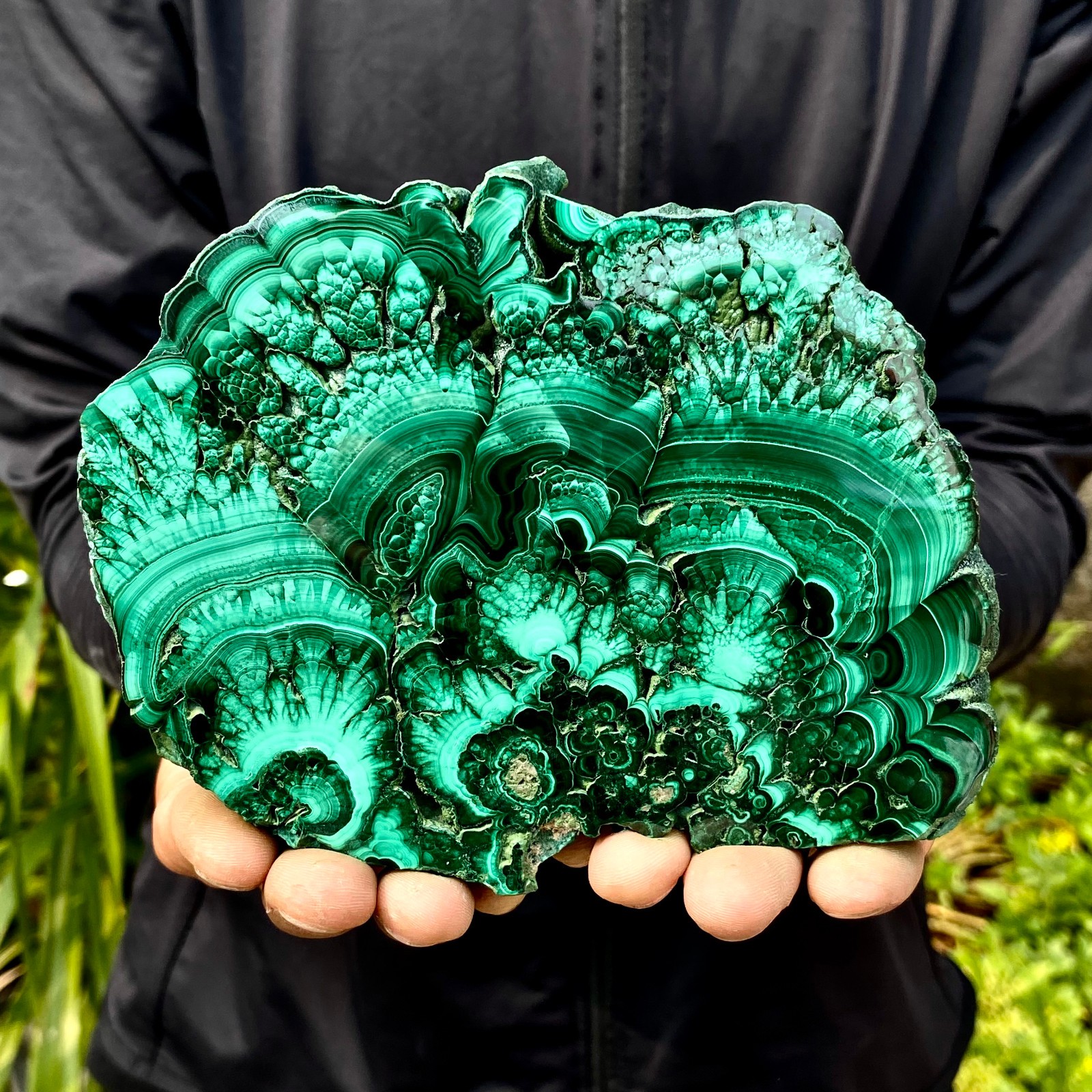 1.64LB Natural malachite slice quartz crystal luster mineral specimen