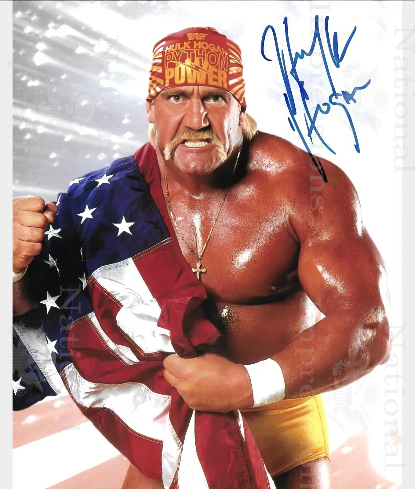 Hulk Hogan WWE WWF Wrestling Signed REPRINT 8x10 2