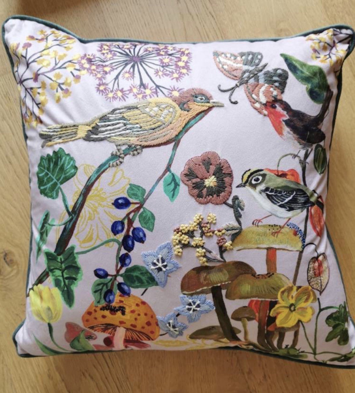 RARE Anthropologie Nathalie Lete 20” Embroidered Pillow Bird Mushroom Butterfly