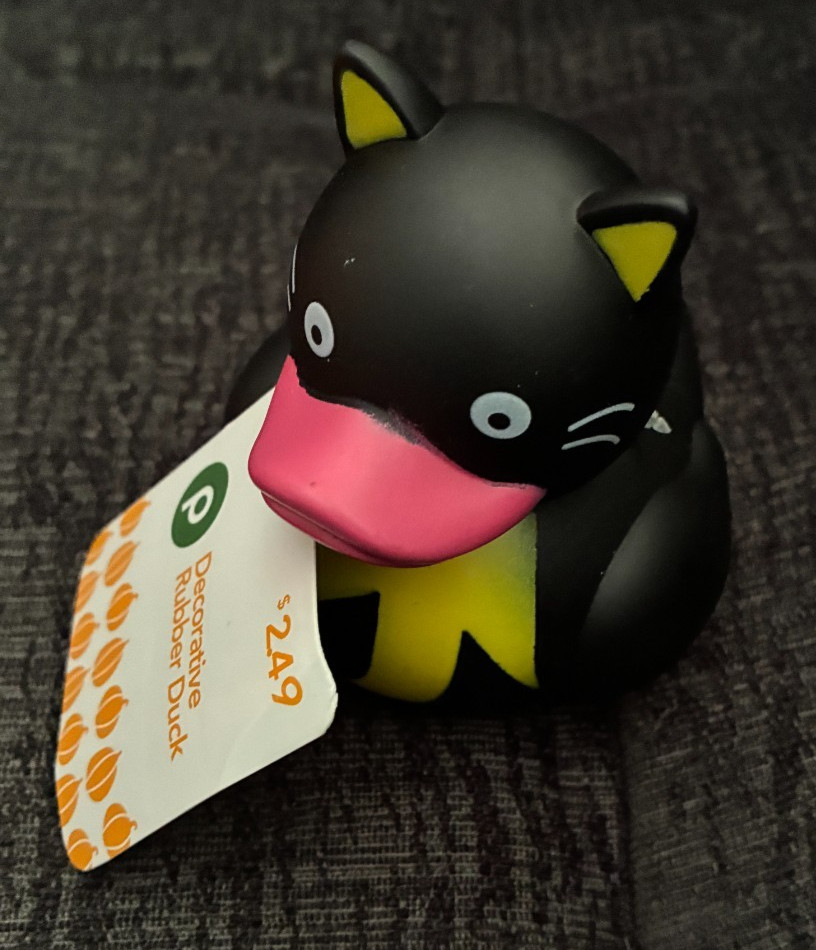 HALLOWEEN 2026 PUBLIX DECORATIVE RUBBER DUCKS-NWT HALLOWEEN 2026 PUBLIX DECORATIVE RUBBER DUCKS-NWT
