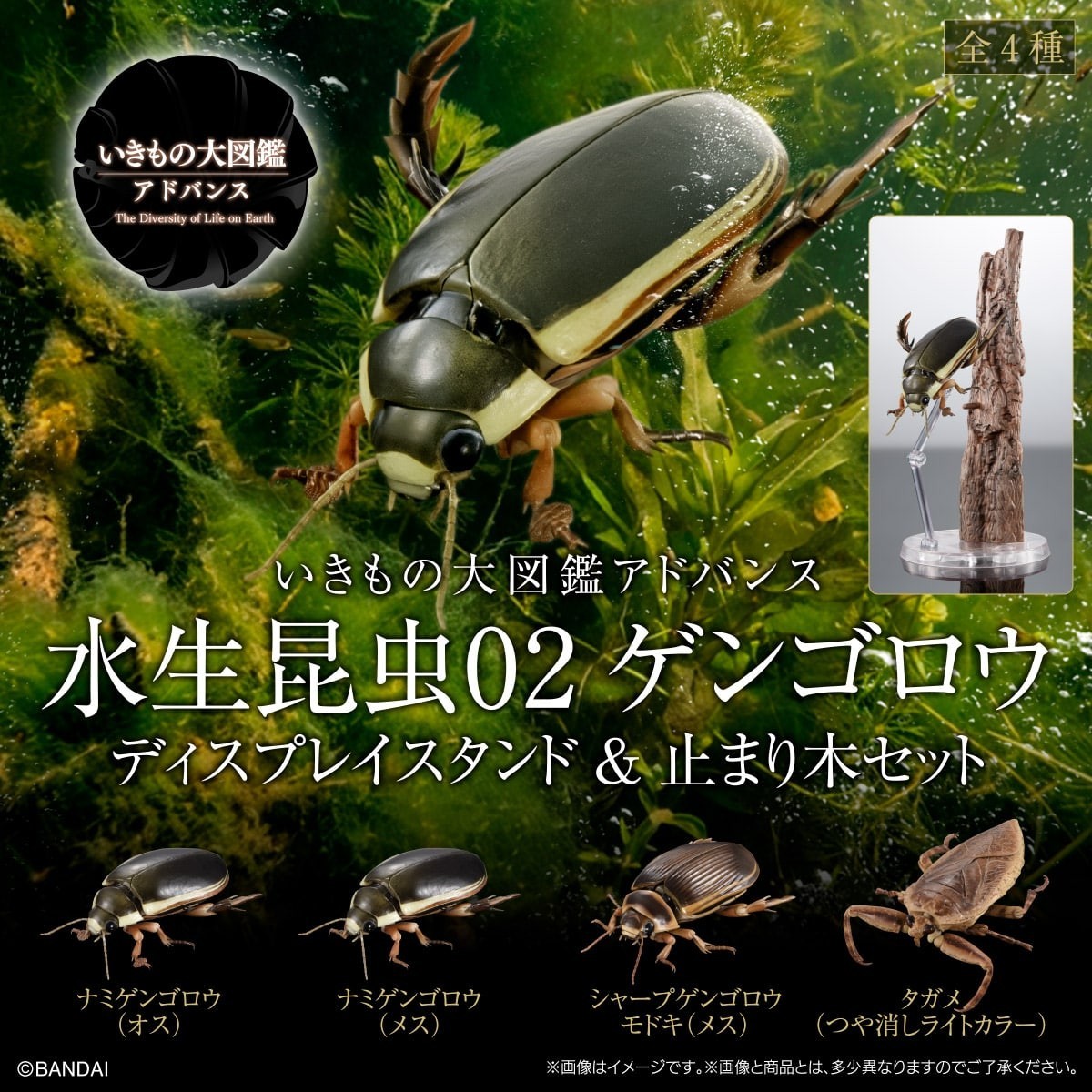 The Diversity of Life on Earth Advance Water Bug 02 Figure w/ Stand Bandai