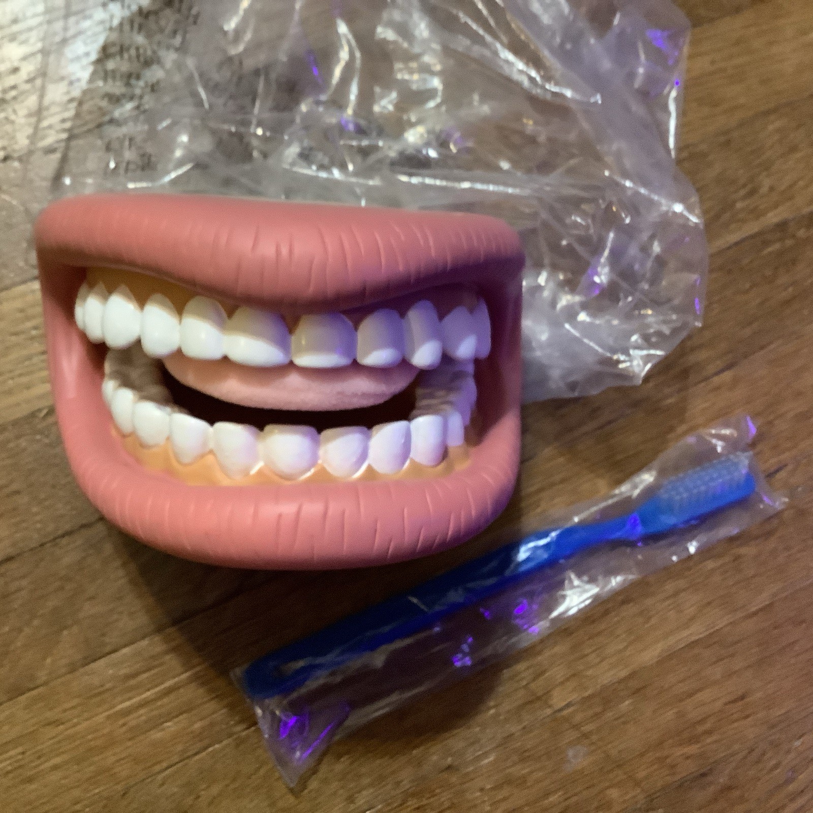 Super Duper 2005 Mouth and Tongue Teaching Tool Tooth Brush Never Used Mint 