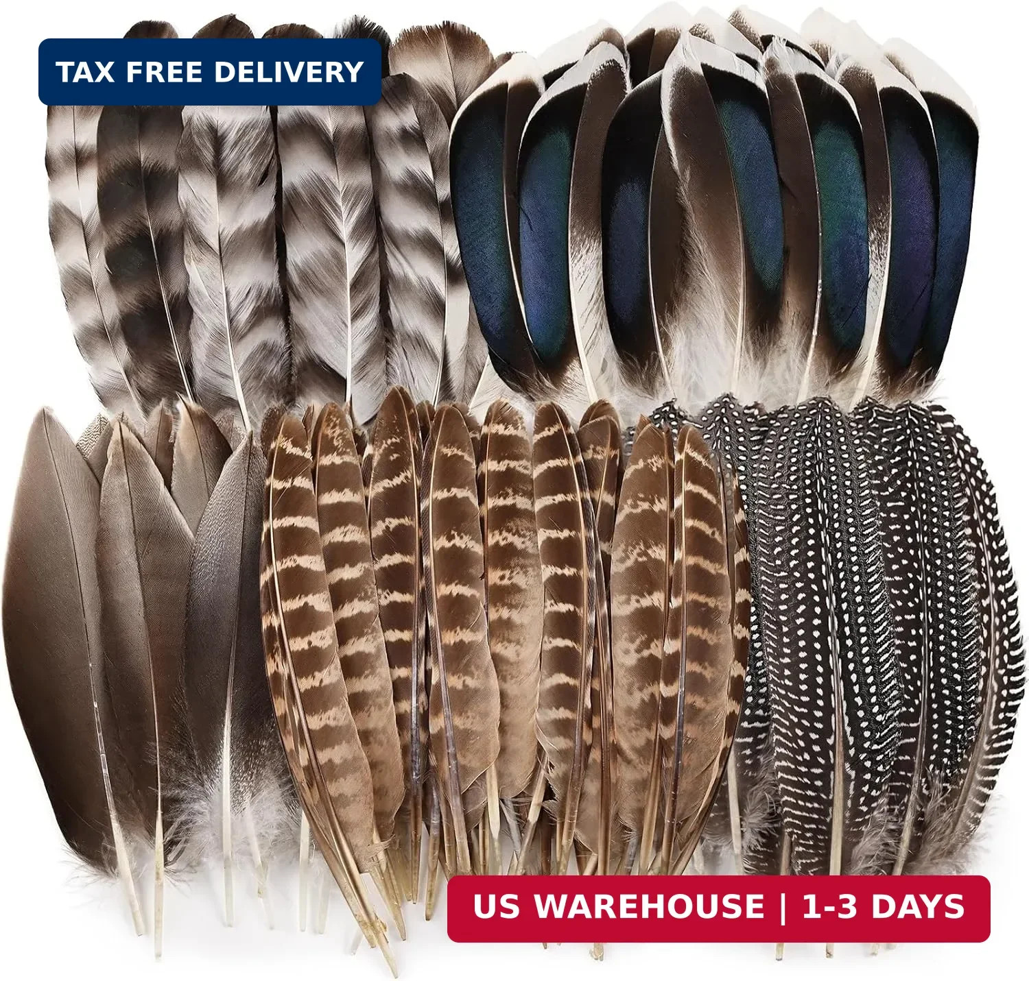 40pcs Natural Pheasant Feathers Bulk Spotted Feathers 5 Styles Mixed