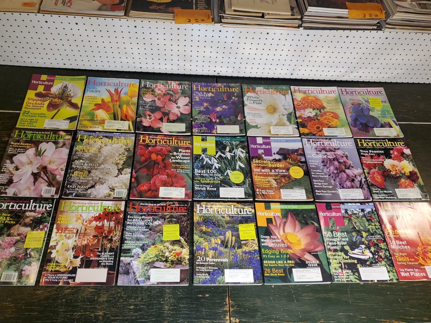 21 Vintage 1999-2003 Horticulture Gardening at its Best Magazine Lot