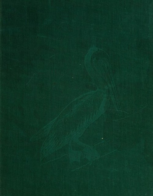 102 Favorite Audubon Birds of America Hardcover