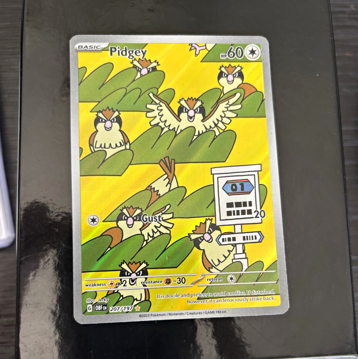 Pidgey 207/197 Pokemon Obsidian Flames Illus Rare Holo Full Art EN LP
