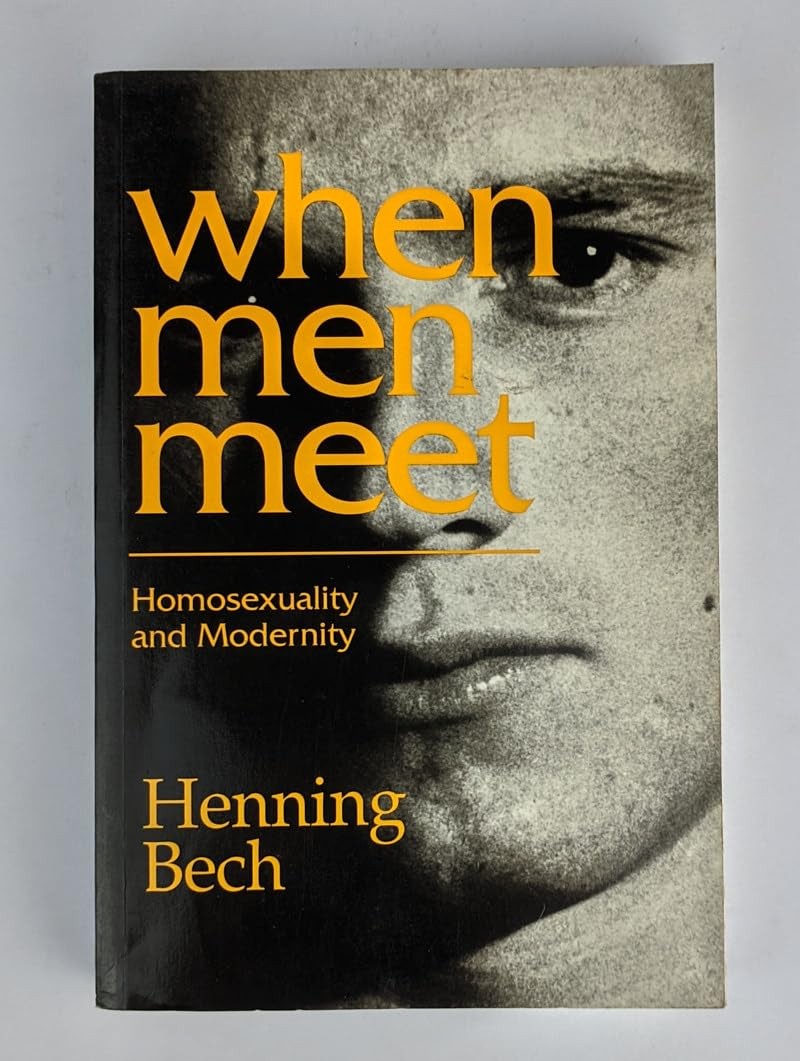 When Men Meet: Homosexuality and Modernity When Men Meet: Homosexuality and Modernity
