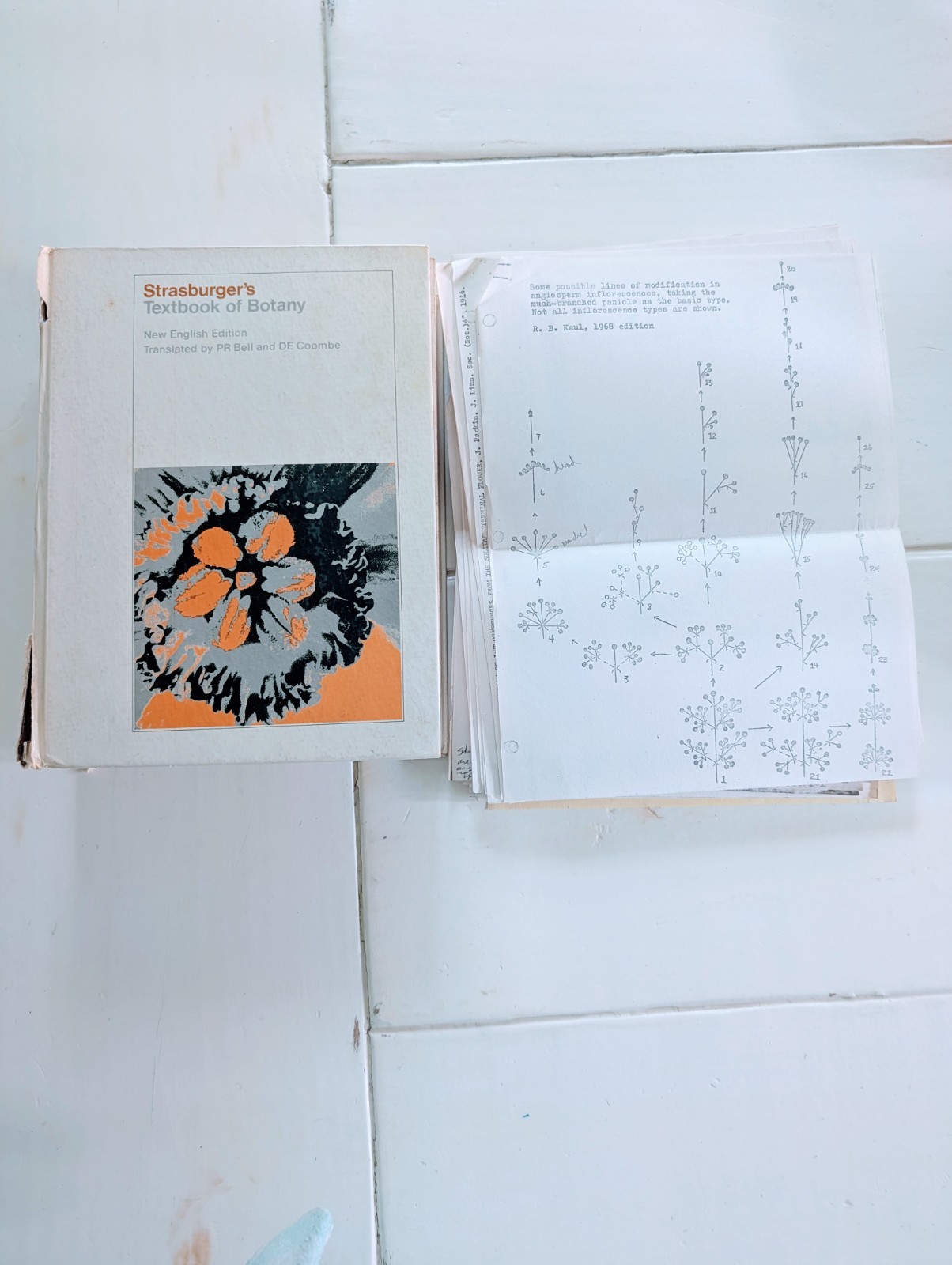 VTG 1976 Strasburger's Textbook of Botany New English Ed + Botanical Ephemera