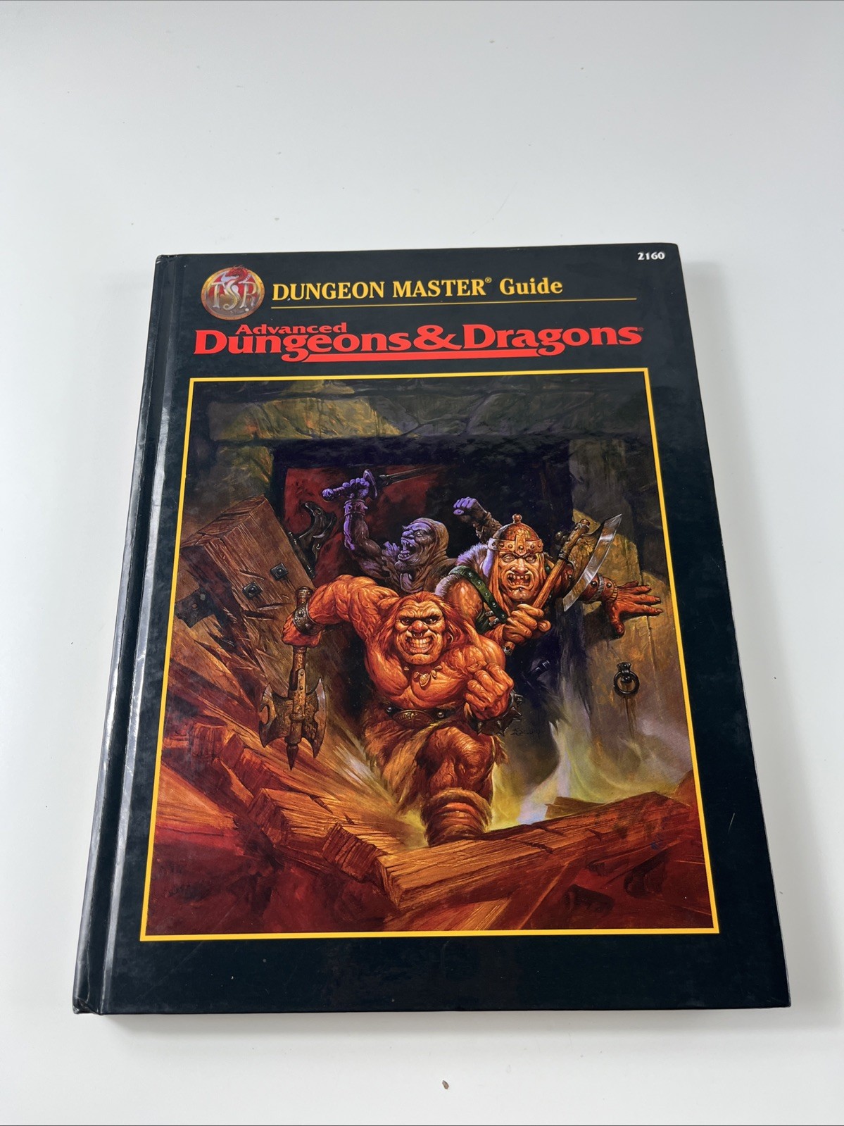 Advanced Dungeons & Dragons Dungeon Master Guide 2160 Hardcover AD&D 2nd Ed TSR