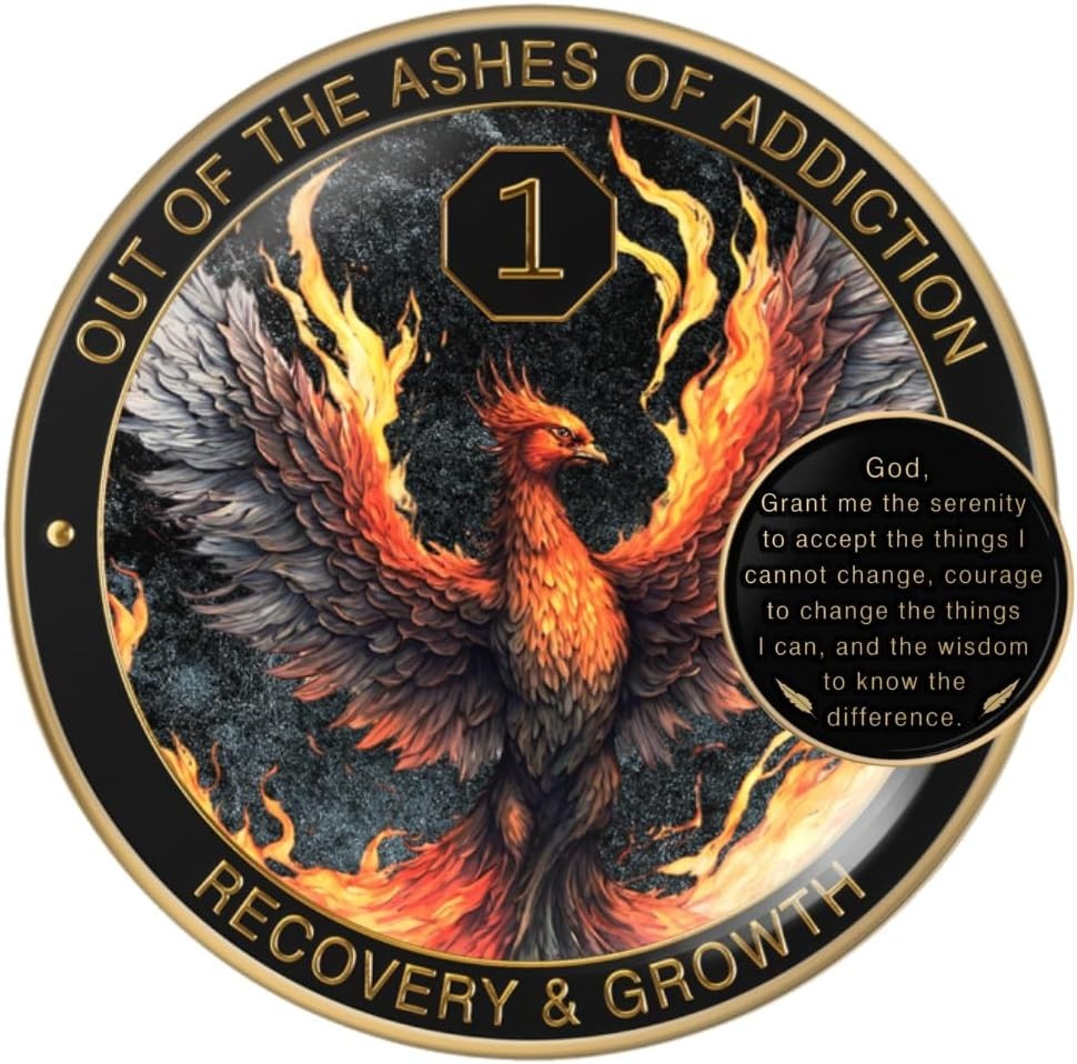 Phoenix Sobriety Coin 1 Year AA Chip Medallion Gift Set Sobriety Gifts for Anniv