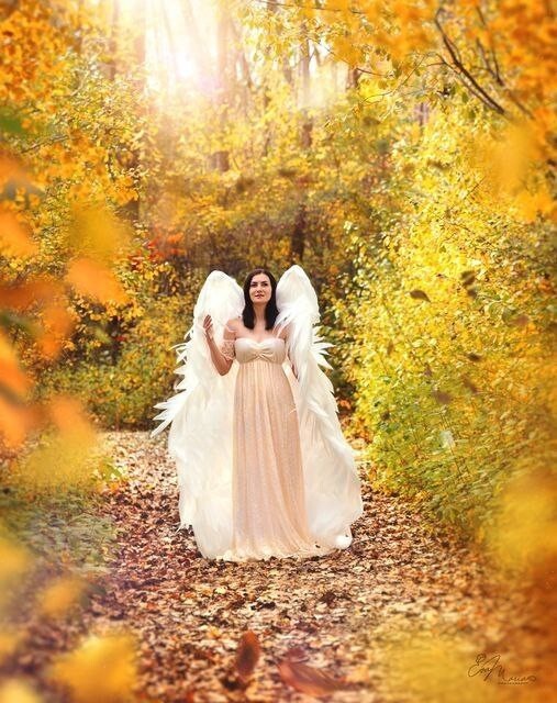 Angel Wings Large Costume Cosplay Adult Fairy Dress Fashion Halloween Christmas